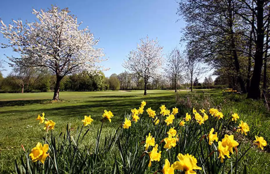 Schloss Breitenburg GC