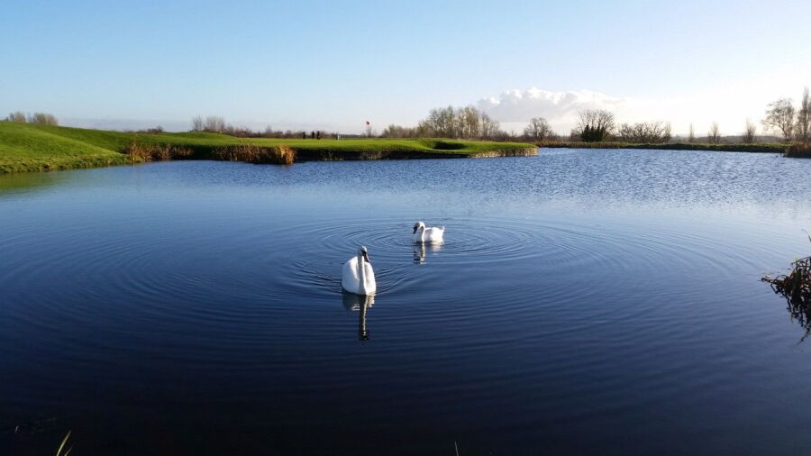 The Manor GC