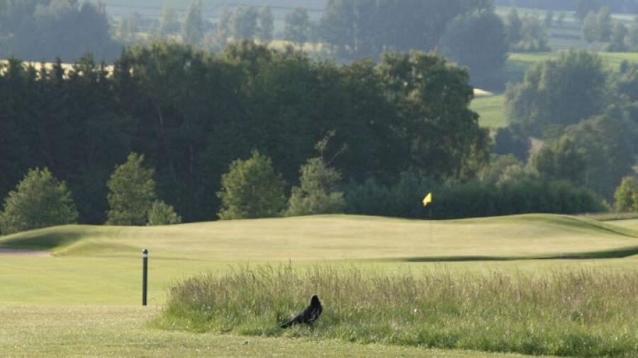 Stiftland GC