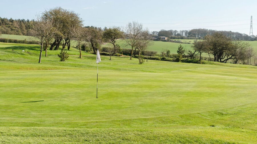 Houghton le Spring GC: #11