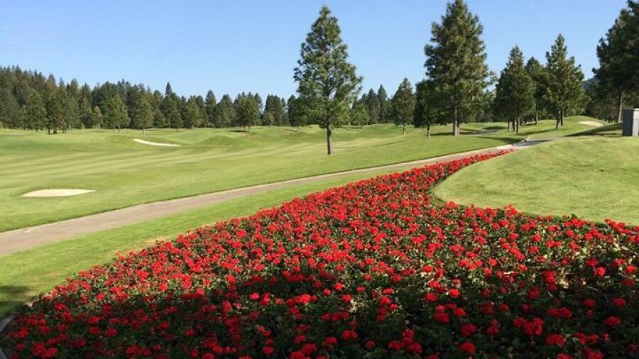 Coeur D'Alene Resort GC