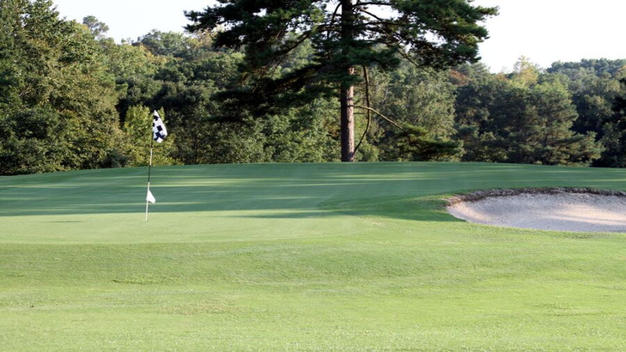 Chicora CC