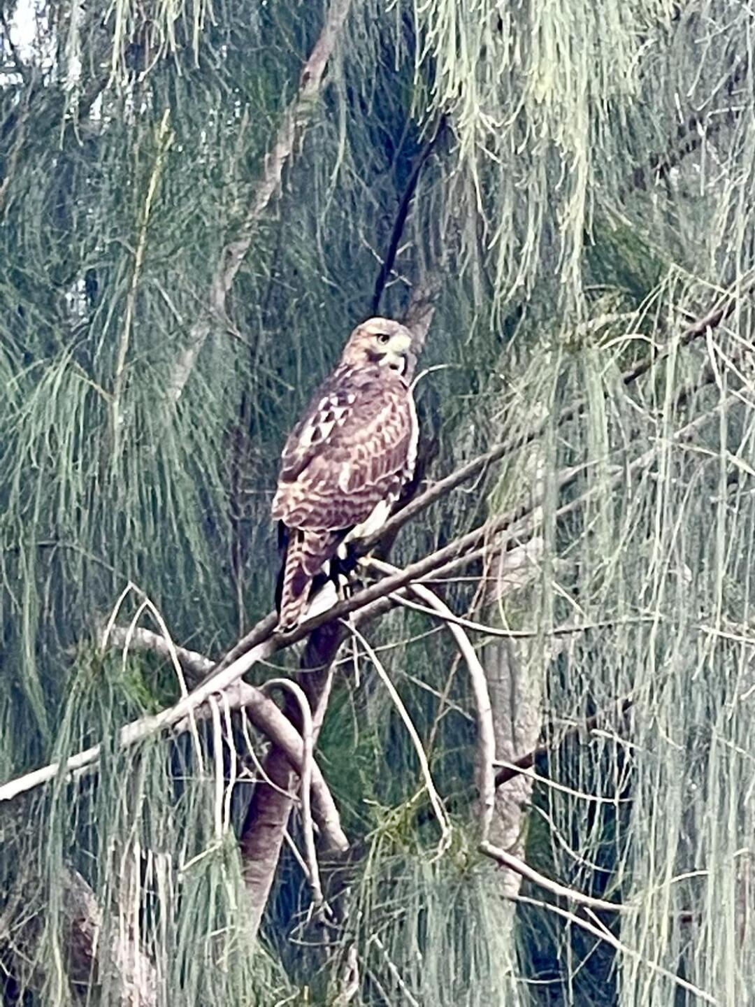 (Photo submitted by u021019211 on 05/13/2022)