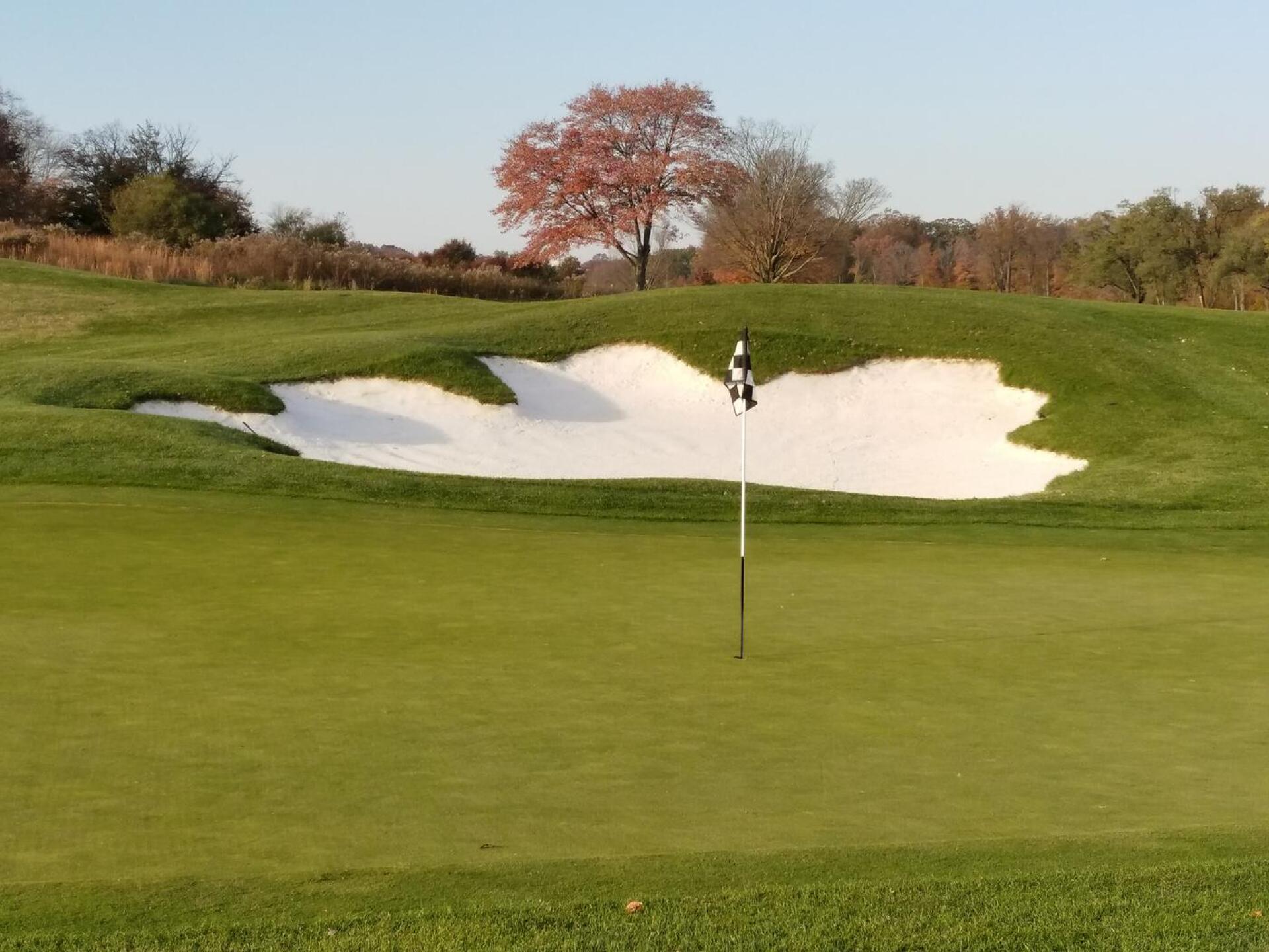 8th green (Photo submitted by sixeagles on 11/15/2017)