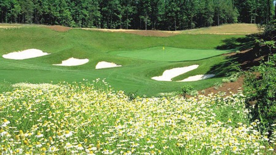 Stonehouse GC: #5