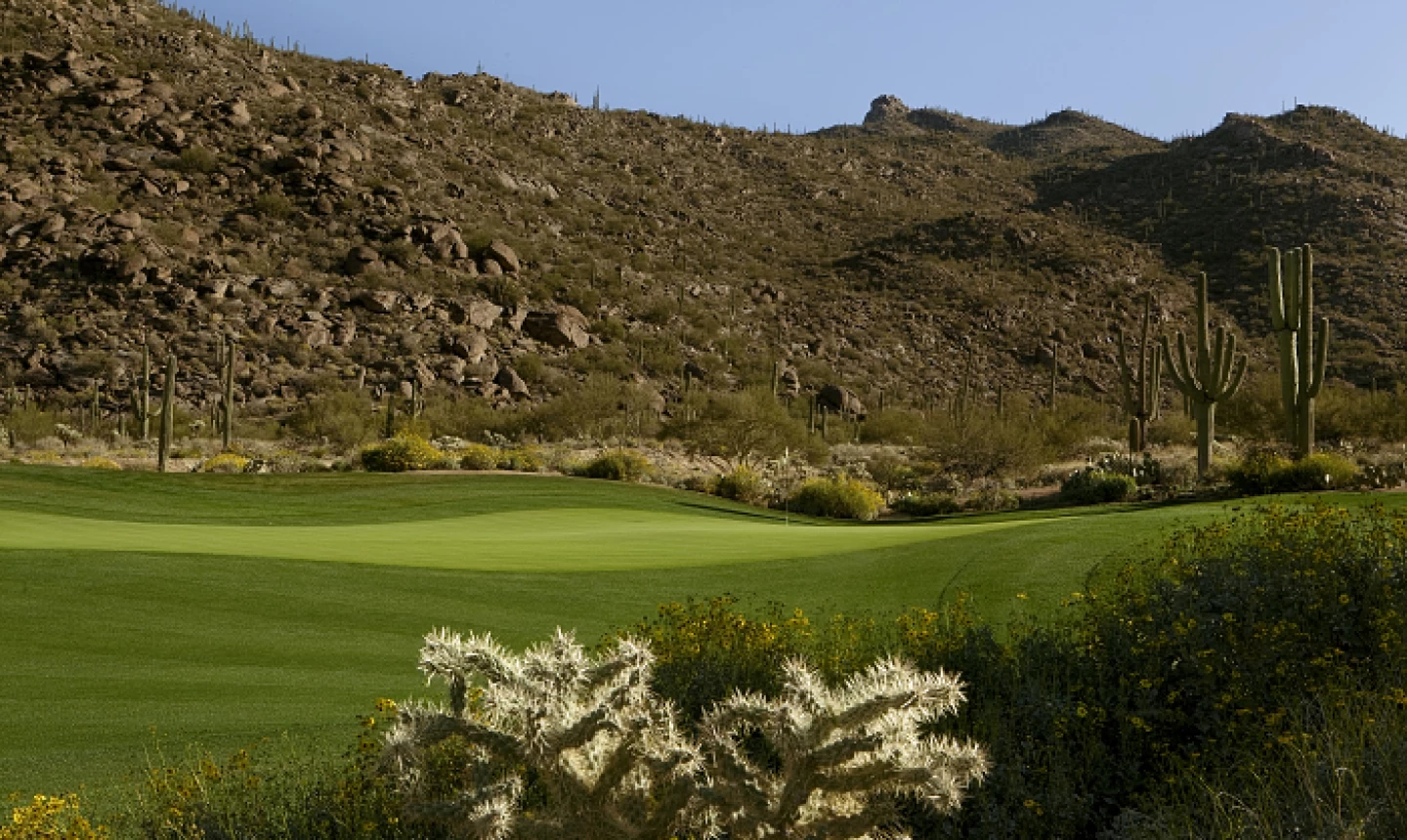 Ritz-Carlton G.C., Dove Mountain - Tortolita - 6th