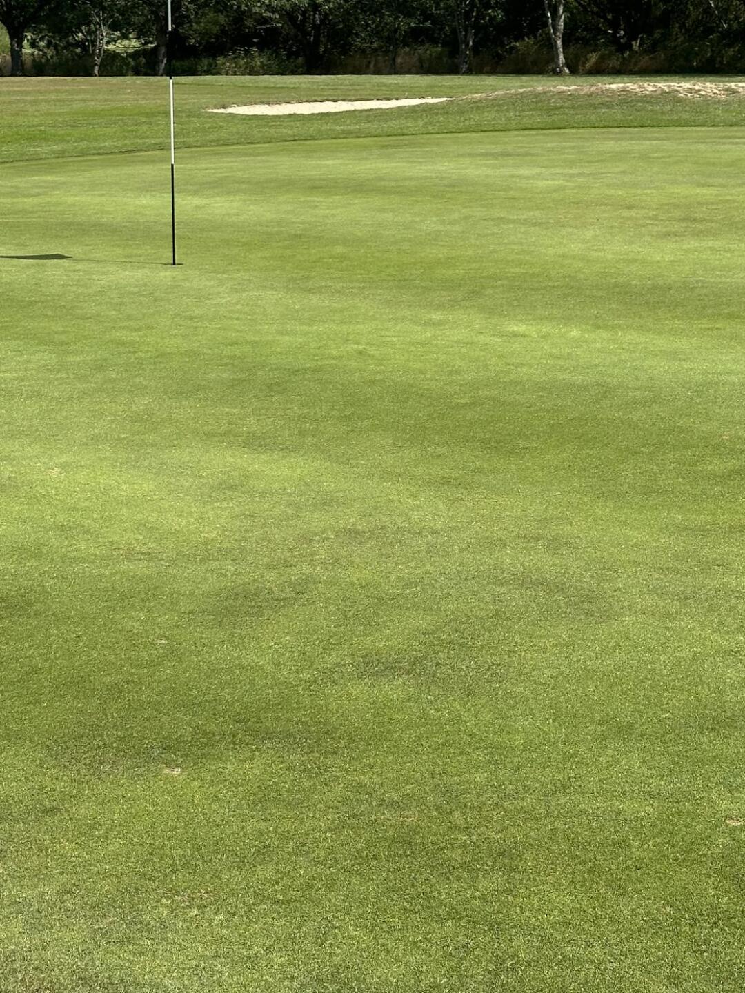 (Photo submitted by ZKY9PWT54mEddKKfDKVh on 08/01/2025)