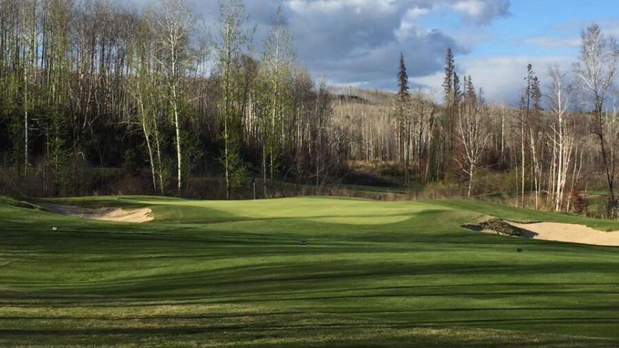 Fox Tail at Fort McMurray: #6