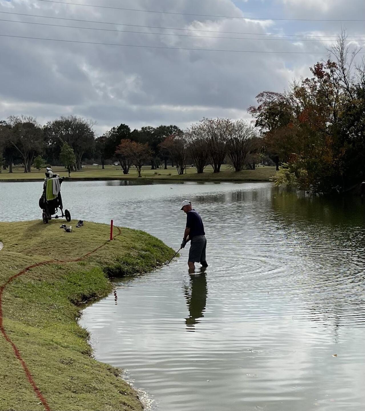 (Photo submitted by shaze61 on 01/07/2022)