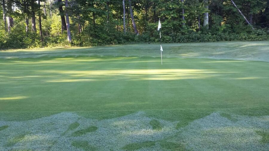 Maplewood GC: #5