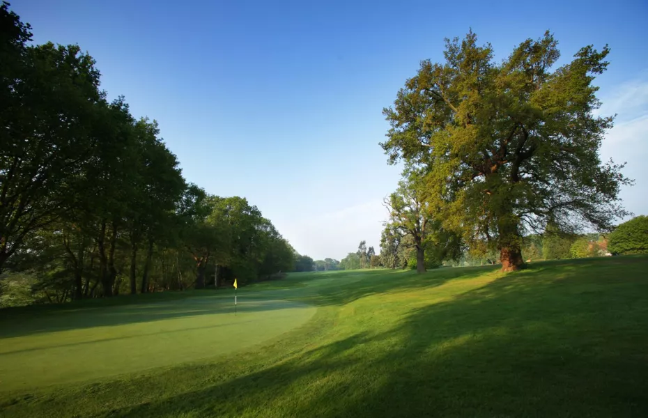 Burhill GC - Old: #17