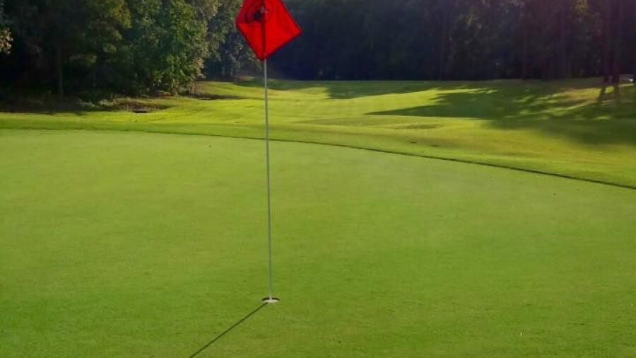 Club at Jones Creek: #18