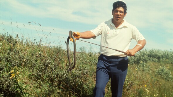 Lee Trevino - rubber snake at The Open in 1971