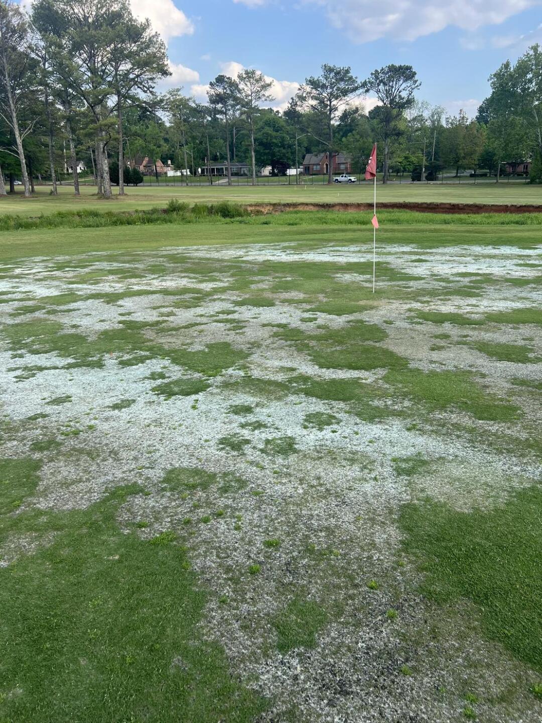 (Photo submitted by PIKb8cVdwR6Zyk1vHXKB on 04/26/2024)