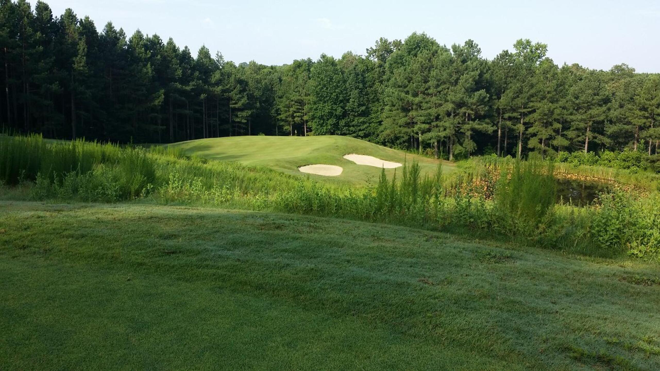 #1 (Photo submitted by JojoCinco on 08/11/2015)