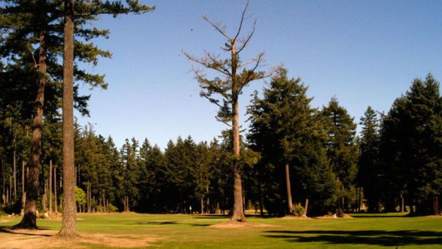 Longlands Par 3 GC