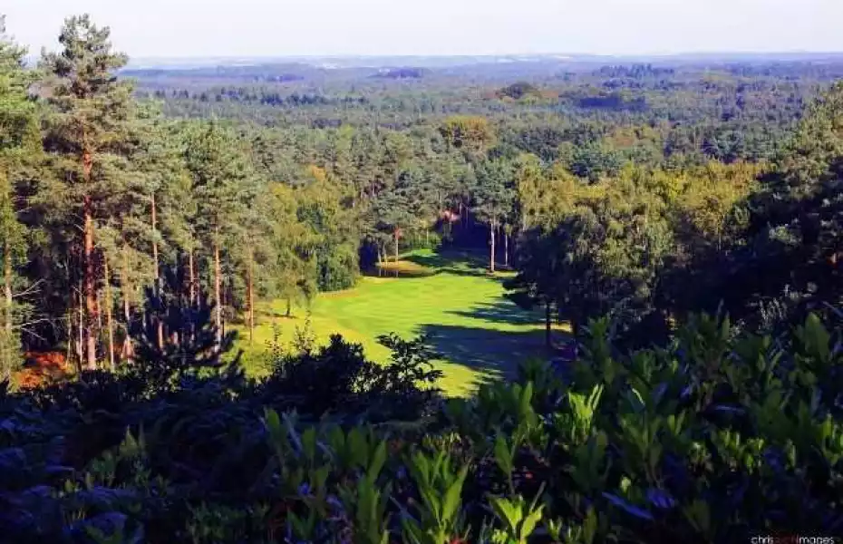 Aerial view at Old Thorns