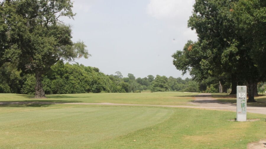 Gus Wortham Park GC: #12