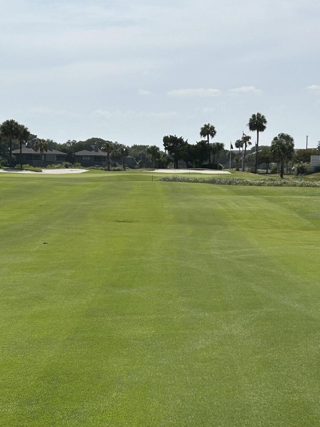 (Photo submitted by adaberne7 on 06/17/2023)