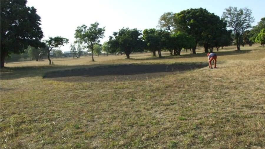 Rayfield GC: #17