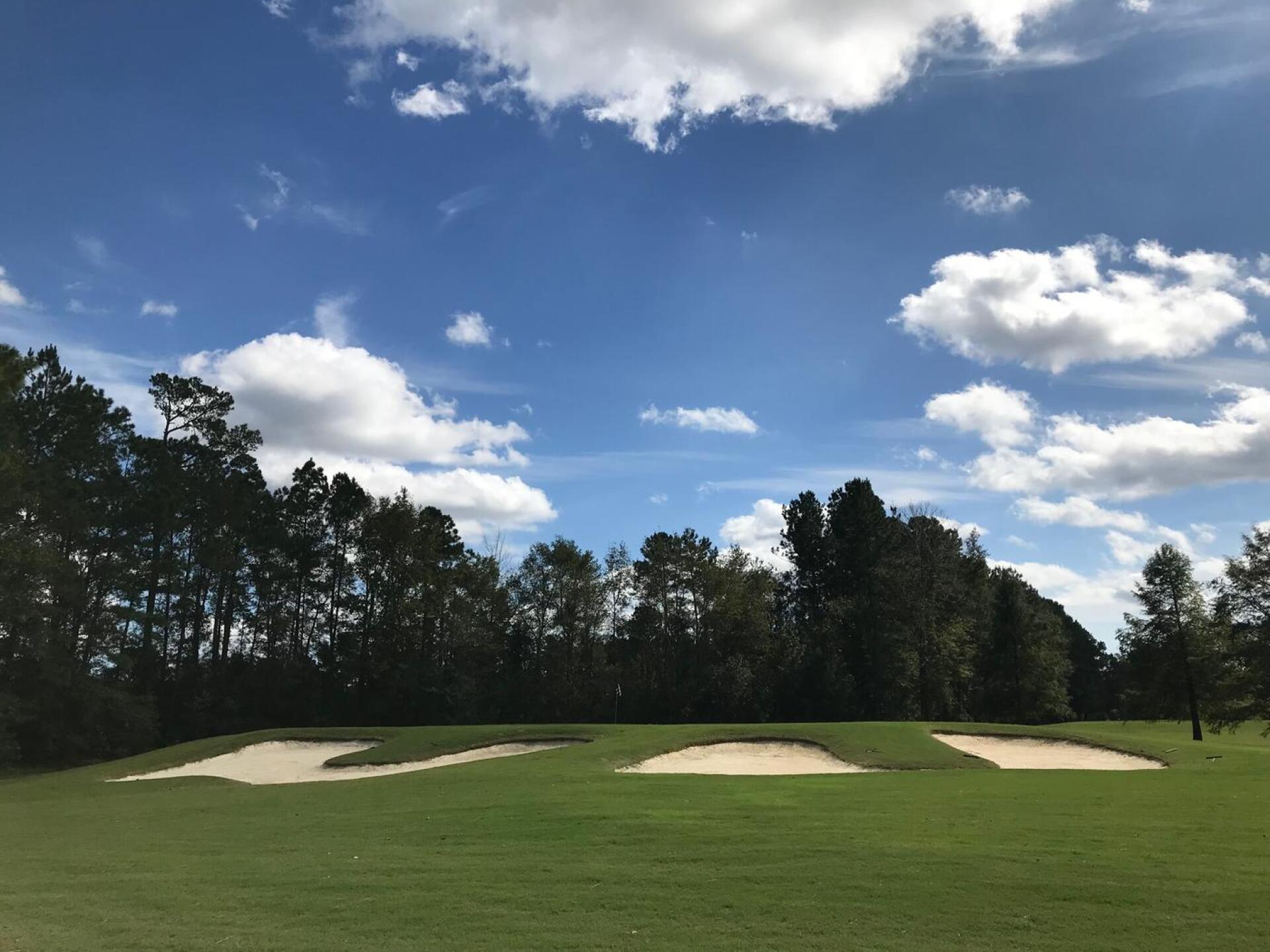 (Photo submitted by Colin468 on 01/07/2019)