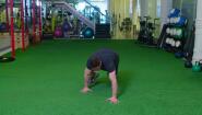 Bear Crawls