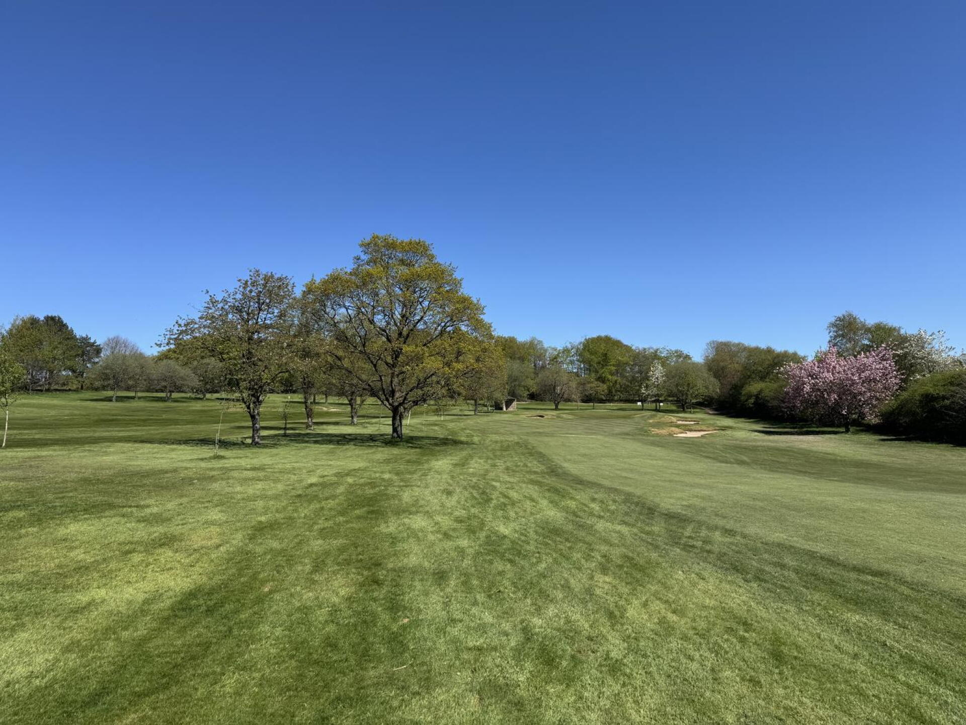 (Photo submitted by MackLunderstonGolfin on 05/01/2026)
