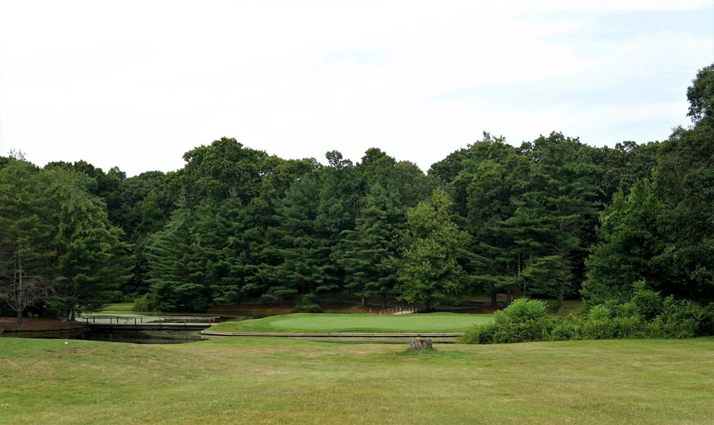 The game truly is on with the island green at four: this little isle, when missed, can destroy a scorecard. (Photo submitted by AptlyLinked on 07/14/2023)