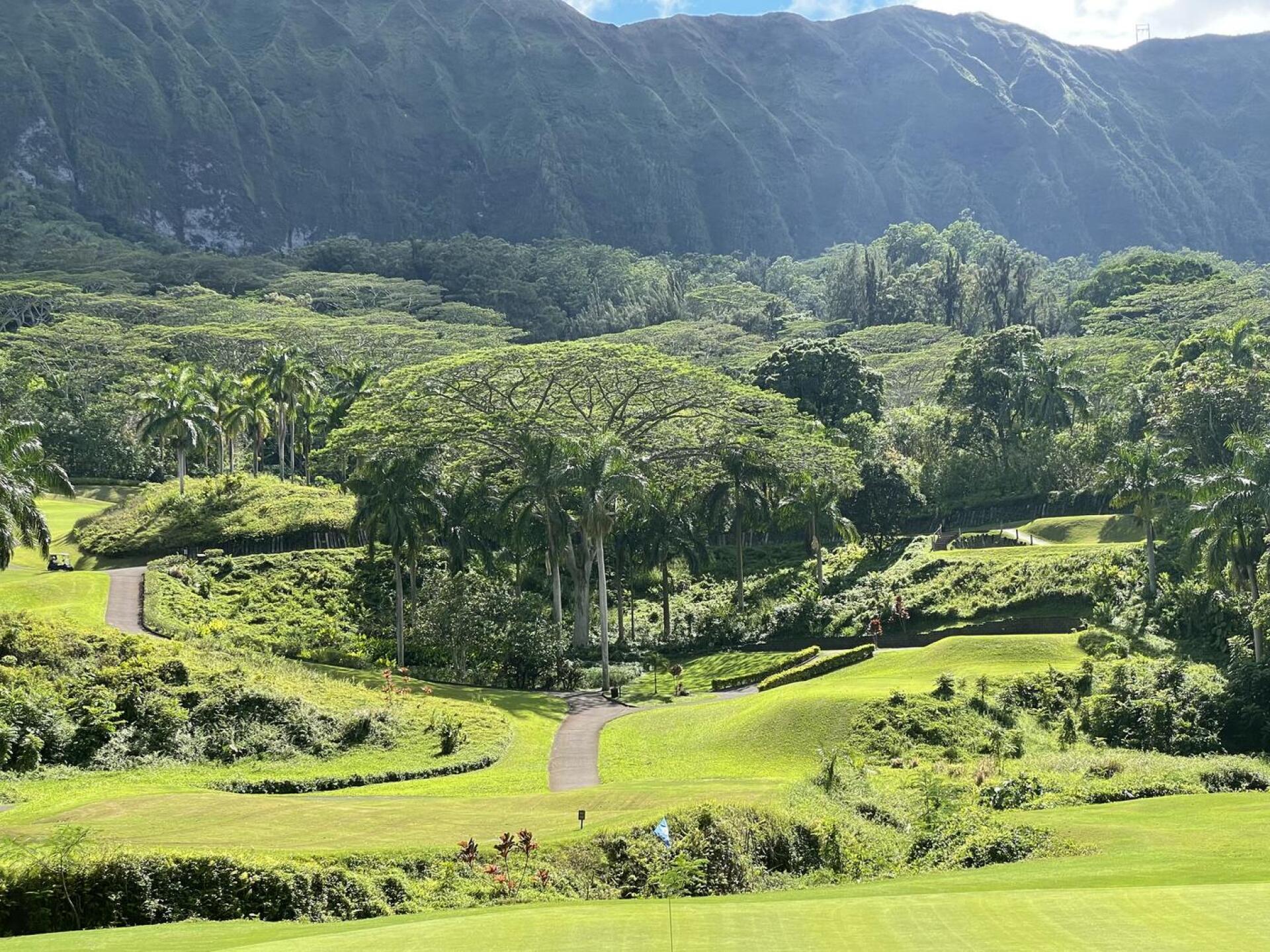 (Photo submitted by u314162277713 on 10/27/2021)