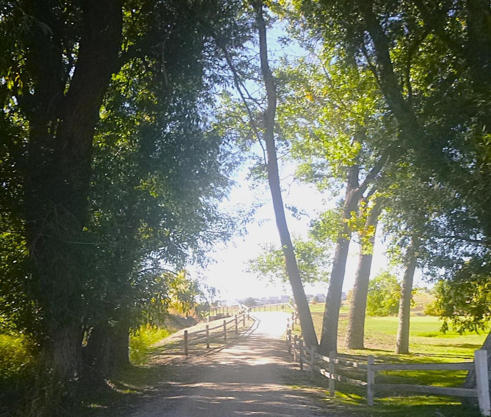 (Photo submitted by DiamondAces on 09/27/2025)