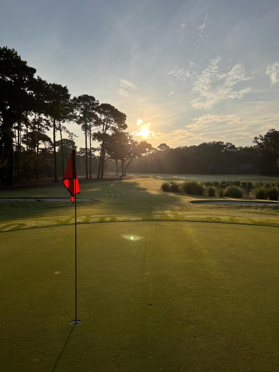 (Photo submitted by u314161799849 on 07/07/2023)