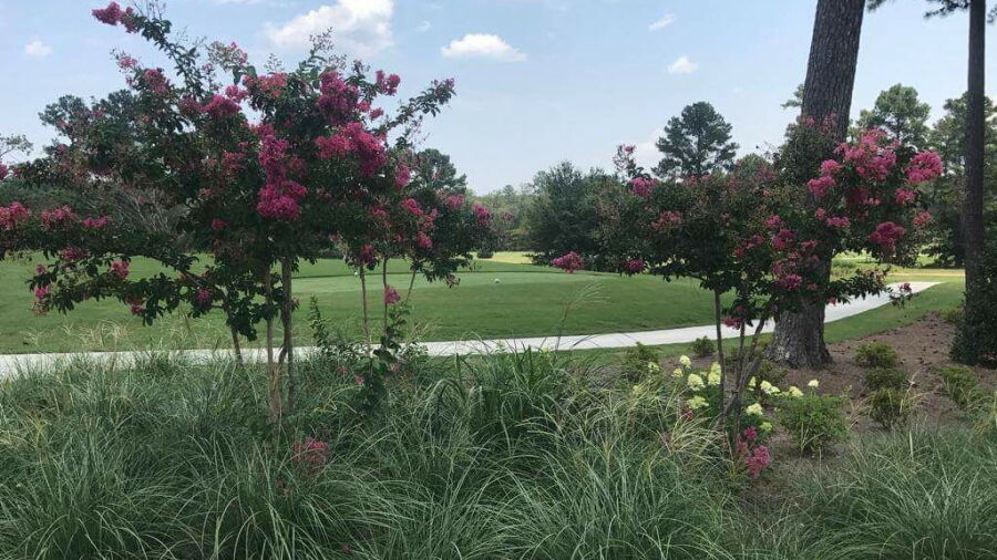 Cedar Valley GC