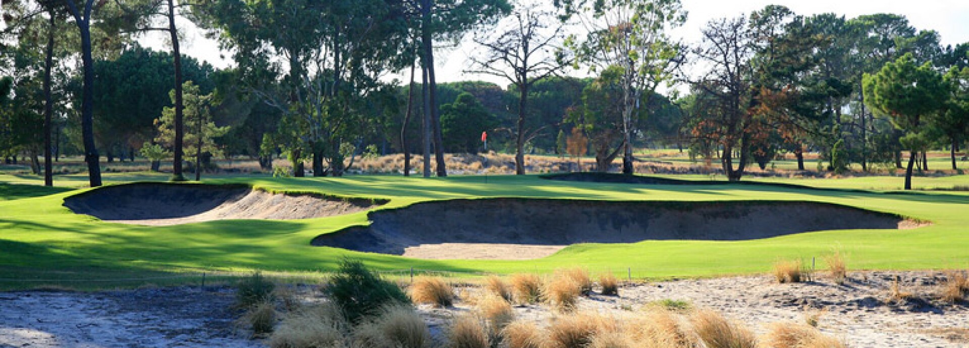 The Grange Golf Club