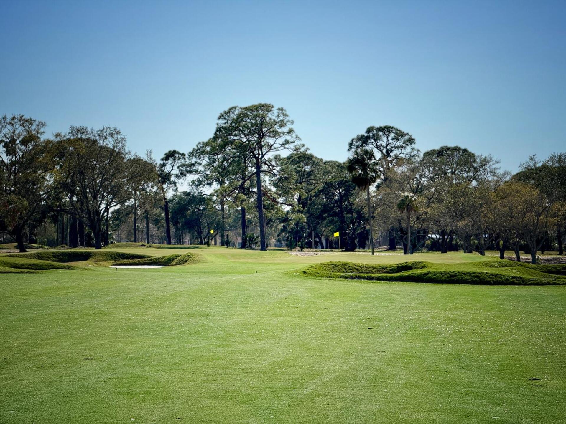 Dunedin, hole 17 (Photo submitted by TimGavrichGP on 11/25/2025)