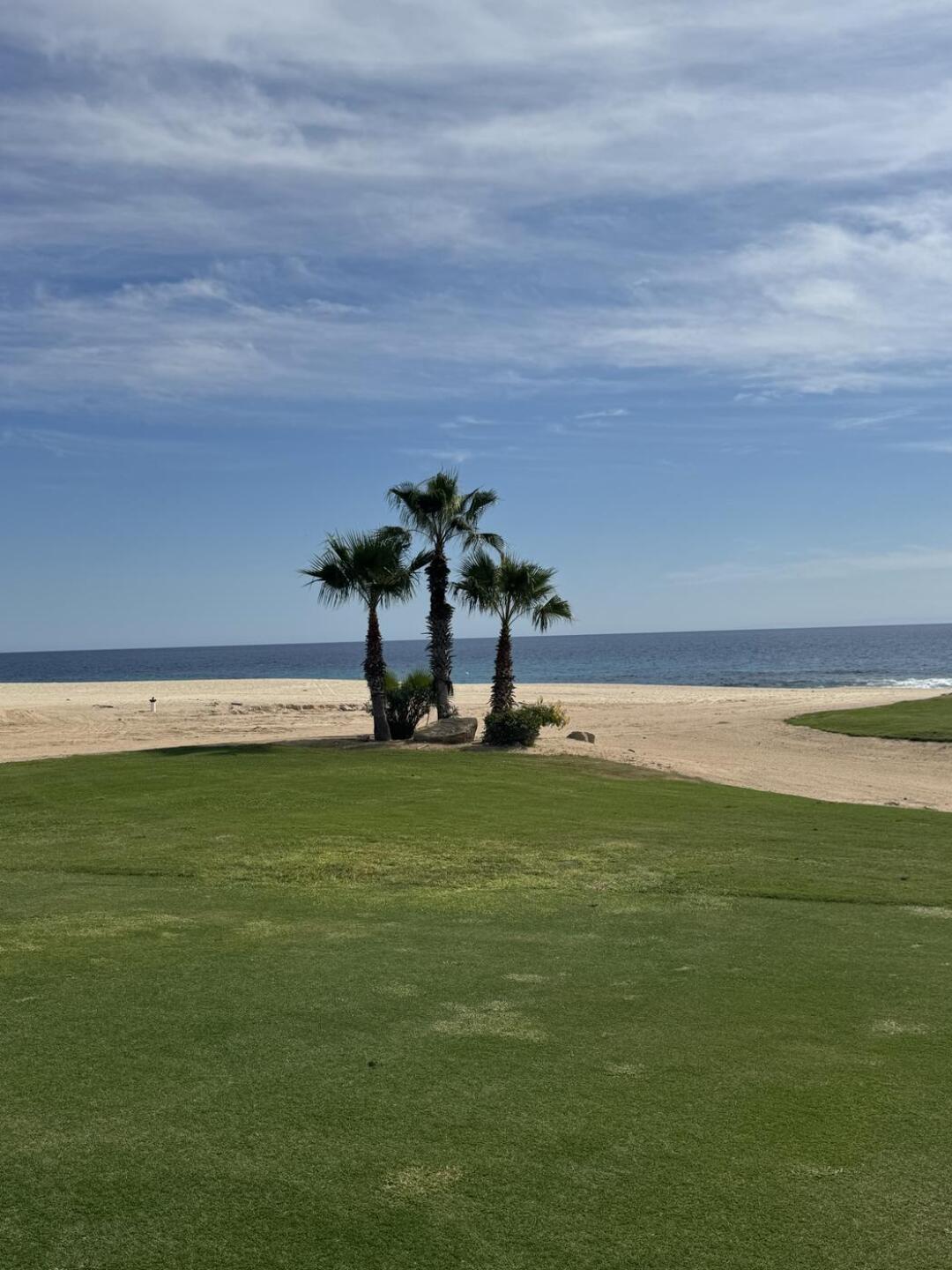 Beautiful (Photo submitted by Winwin2 on 12/23/2025)