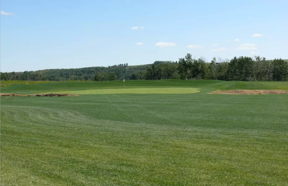 Tooth of the Dogpound Creek GC: #17