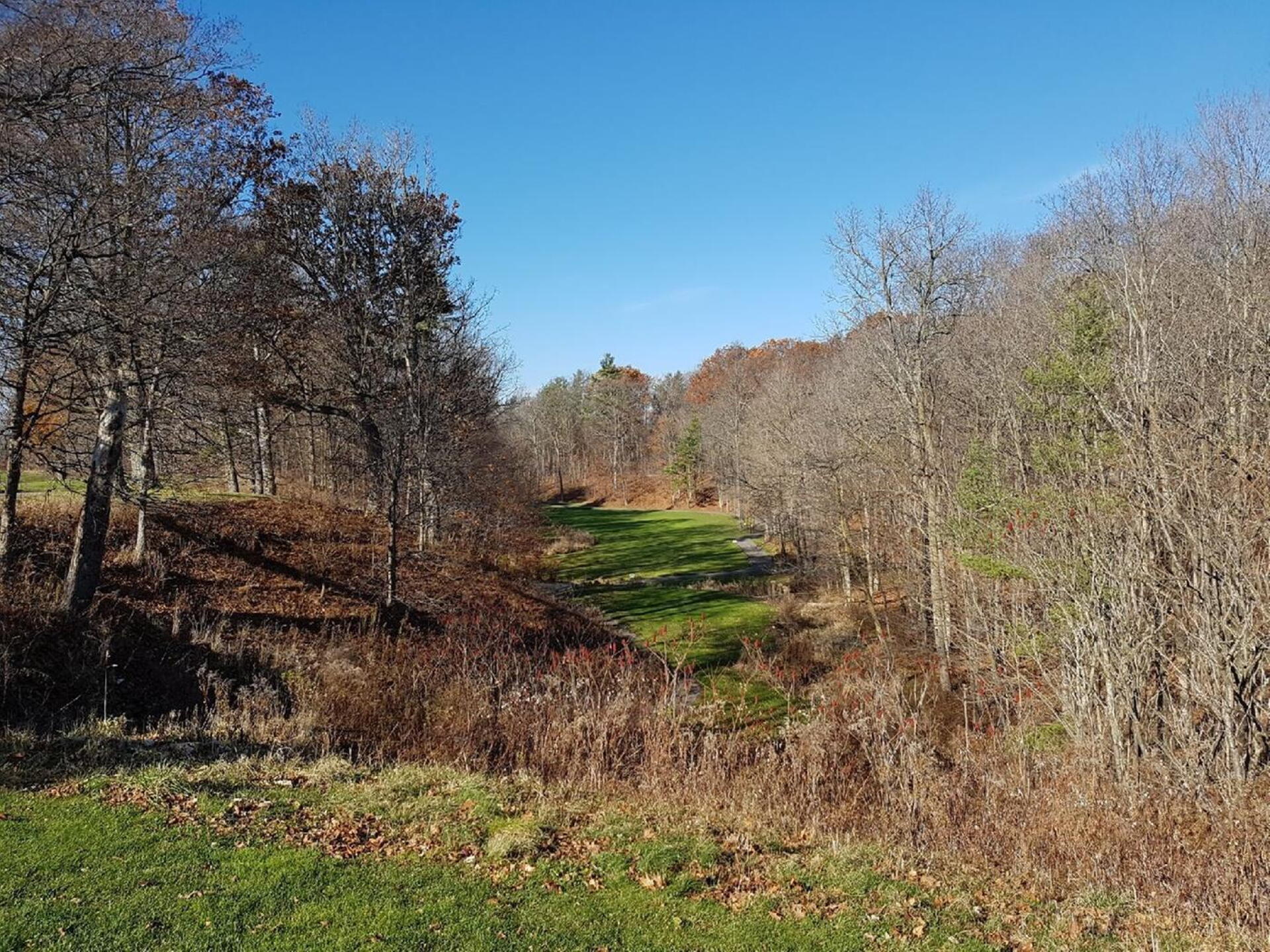 signature 16th, will look spectacular in the summer! (Photo submitted by BoomerAce on 11/25/2017)