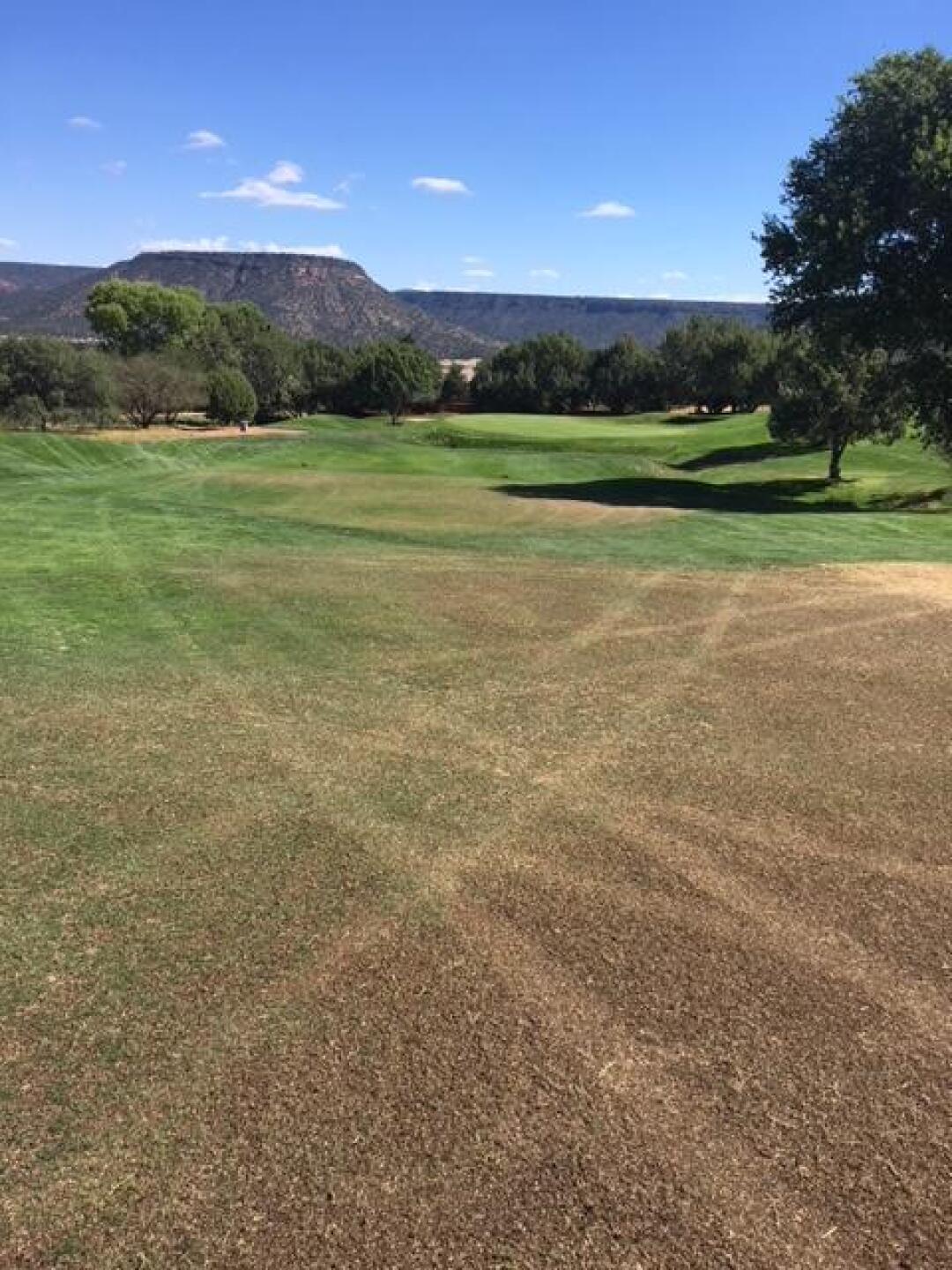 poor fairway (Photo submitted by polishpal on 10/13/2017)