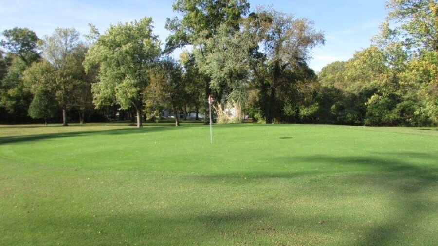 Arlington Greens GC: #12