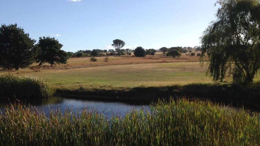 Gunning GC
