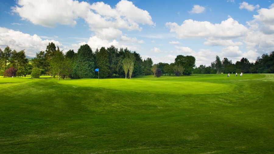 Mallow GC: #8