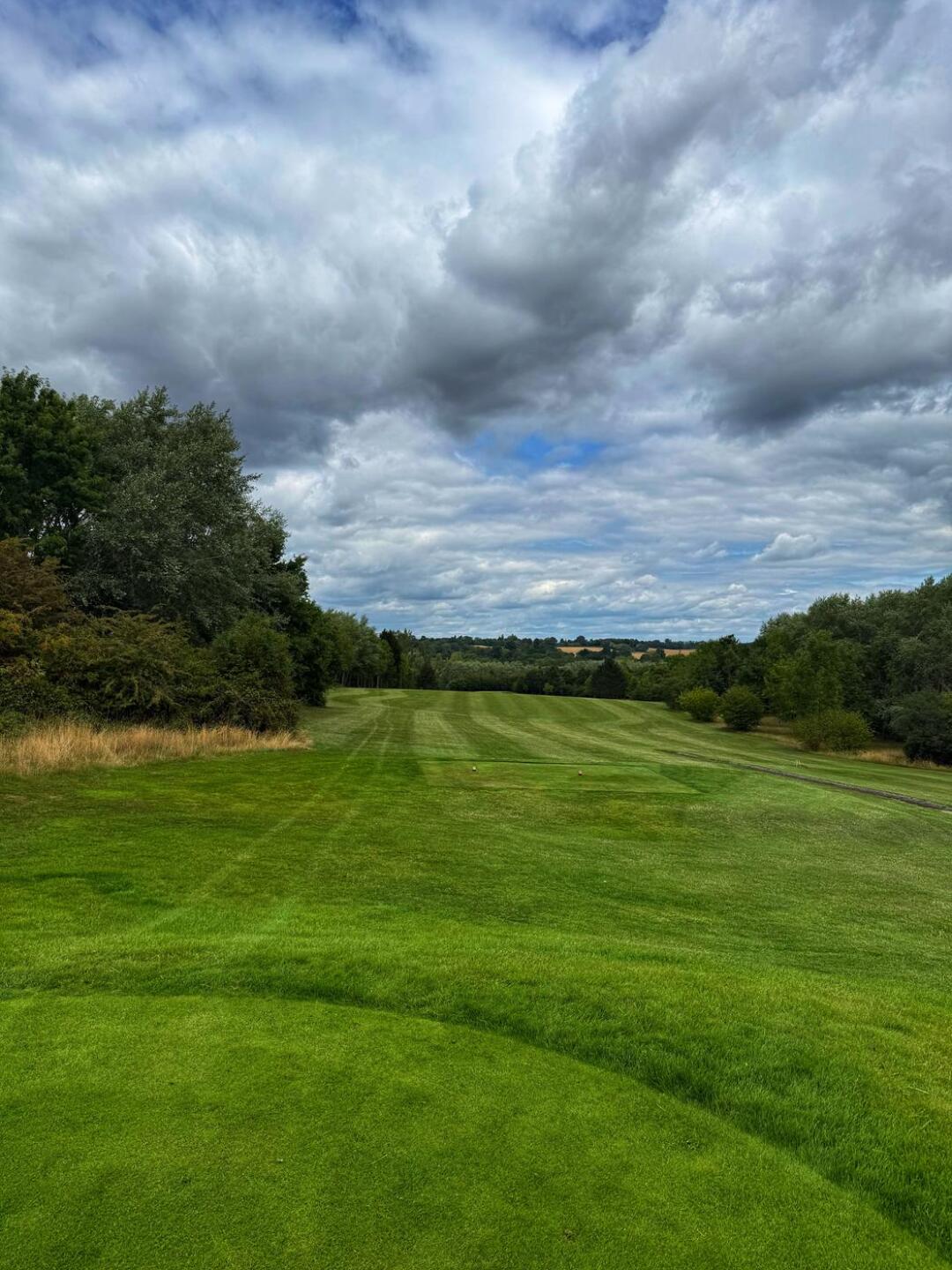 (Photo submitted by t1480257013 on 08/04/2025)