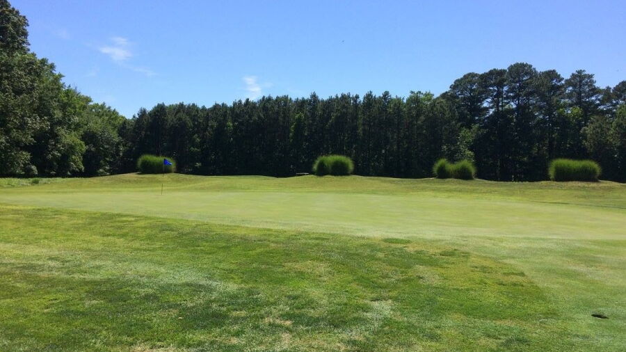 Great Hope GC: #11