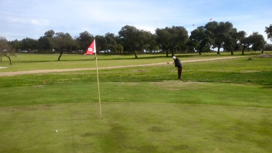 Pozoblanco GC: #8