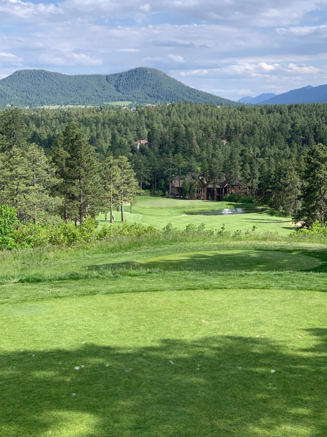 (Photo submitted by u340515415 on 06/14/2019)
