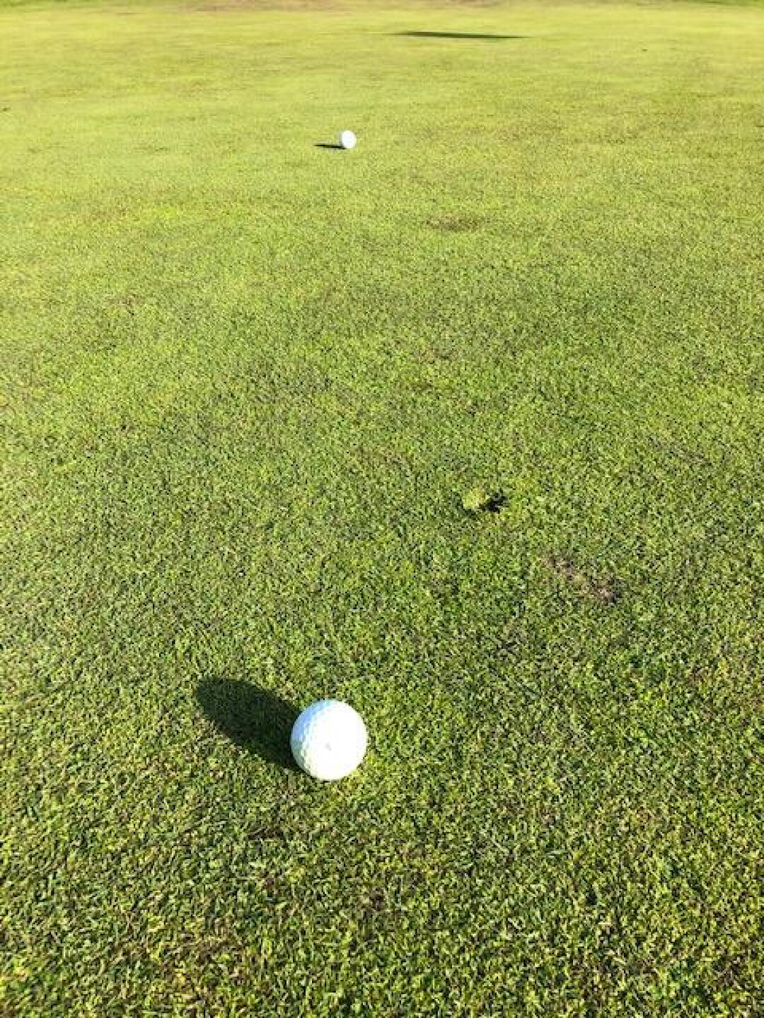 Pic of the greens to prove they are in halfway ok shape. (Photo submitted by Gremlingolfer on 06/03/2019)