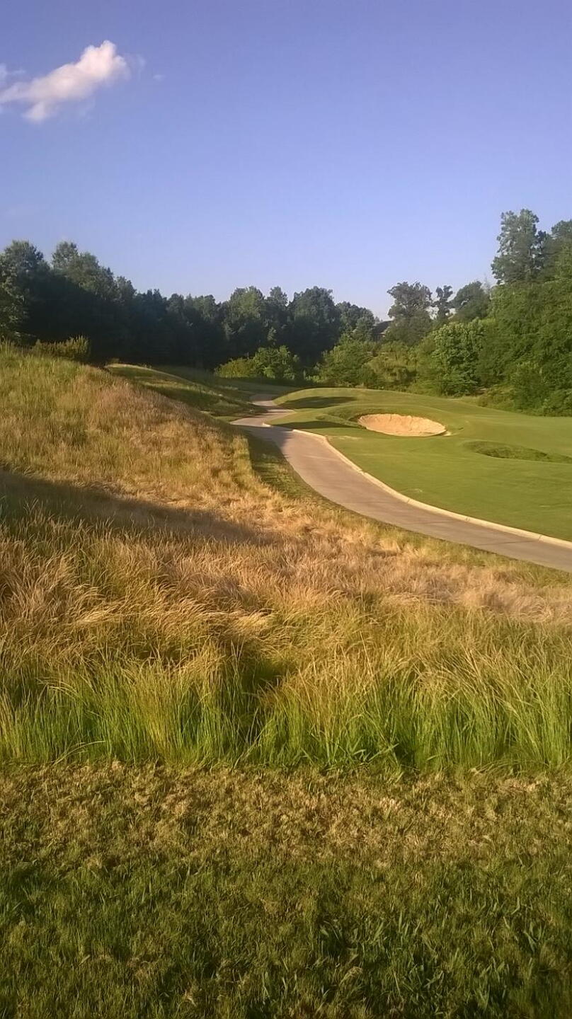 View of 8th green approach from golf cart (Photo submitted by ndabunka on 11/22/2018)