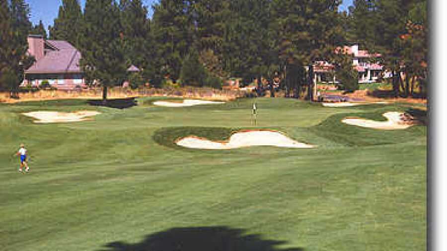 Widgi Creek #10