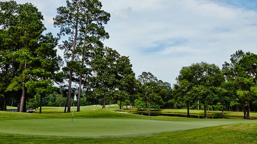Palmer at Woodlands CC