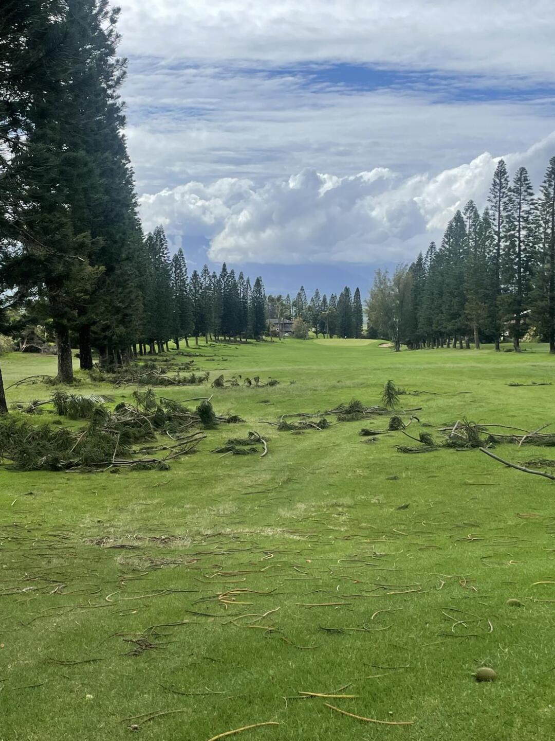 (Photo submitted by u1551423899 on 03/18/2026)